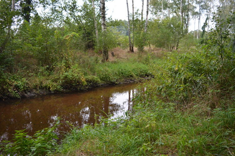 Ostrzeżenie hydrologiczne dla regionu łódzkiego 1 39695 eea71eb68f27efd87baaeb6e058ddca3