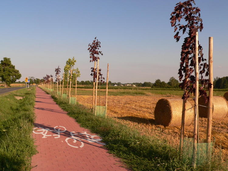Powstaje droga rowerowa ze Spały do Inowłodza 1 39881 d573e82036b85311161de3af1bfd21be