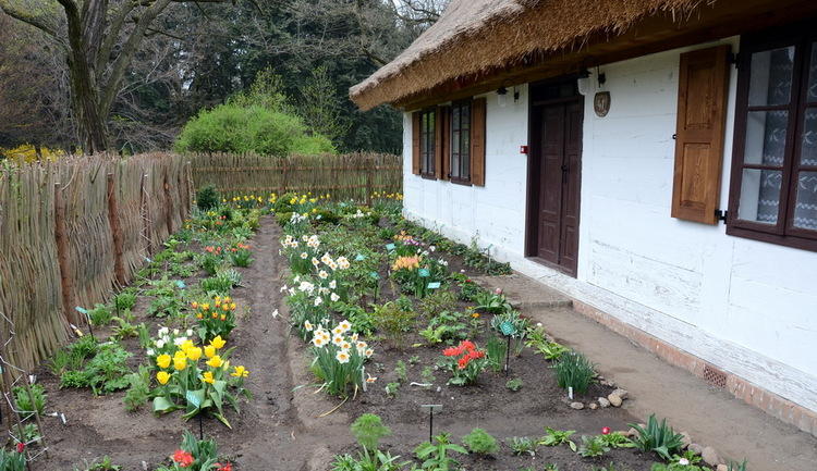 Foto spacery z Zieloną Łodzią po łódzkim Ogrodzie Botanicznym 1 40432 b005f438dafe3214318612ea3b2de57b