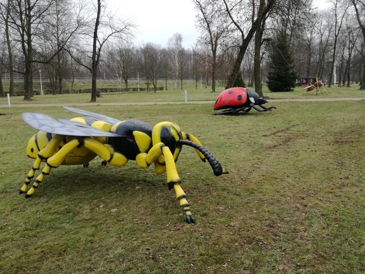 Park Mickiewicza w Sieradzu w nowej odsłonie 1 40509 20eb09f0726236ec2c47434c8a53e371