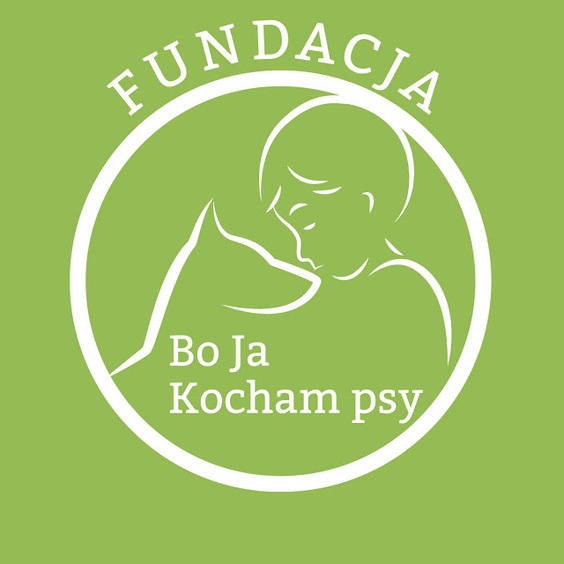 Adopcja zwierząt | My Decydujemy 1 41317 729760e7830340c3c0ad974d74e36344