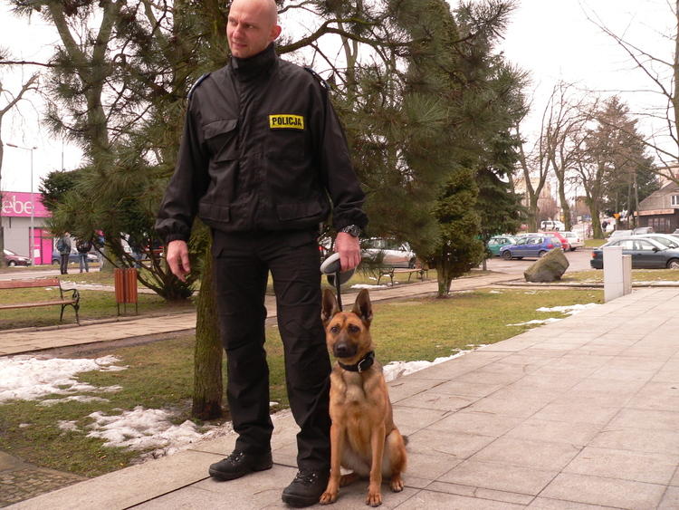Nowy pies policyjny w rawskiej komendzie 1 41769 8194e2c833624694c31d362b507b3d36