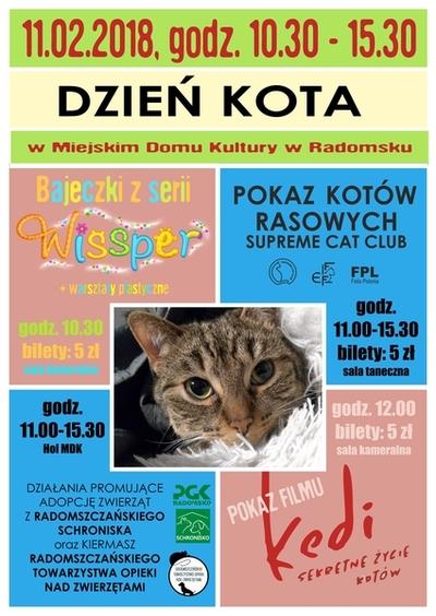 Kocie atrakcje w Radomsku 1 42000 ea21f72de9c24e9375d6a664a8f5f2bb