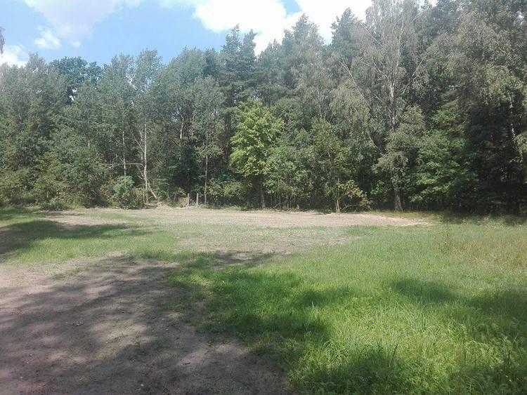 W bełchatowskich lasach można zdobywać tzw. zielone punkty kontrolne 1 44114 c5849df6d45074b65441a95828ffbd72