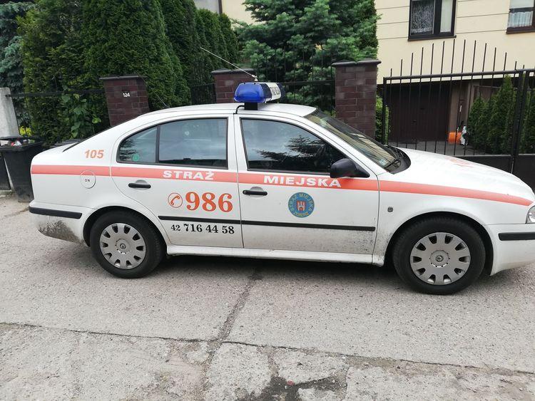 Cztery koty nie żyją, dwa są ciężko ranne. Zabawa w strzelanie? 1 44326 69760f169a0cf79c529d5be62e653d8e
