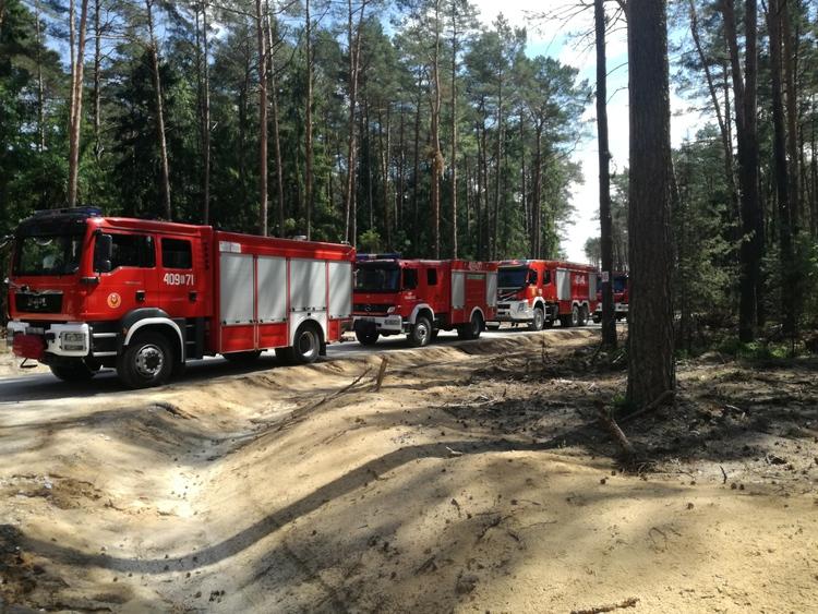 Pożar lasu w Trzech Morgach 1 44671 04086c9956ab5b63d2964721582f7979