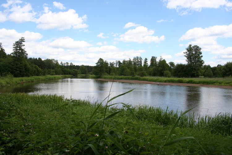 39-latek utonął w Pilicy 1 44965 c1d79ab2f3f352baf90e39915c7c0ac6