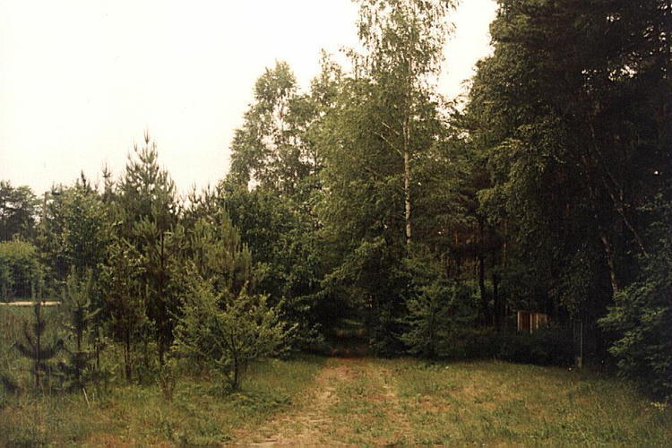 Grupa nastolatków zatrzymała piromana 1 44984 43effc1fdef71166a704490882d142d5