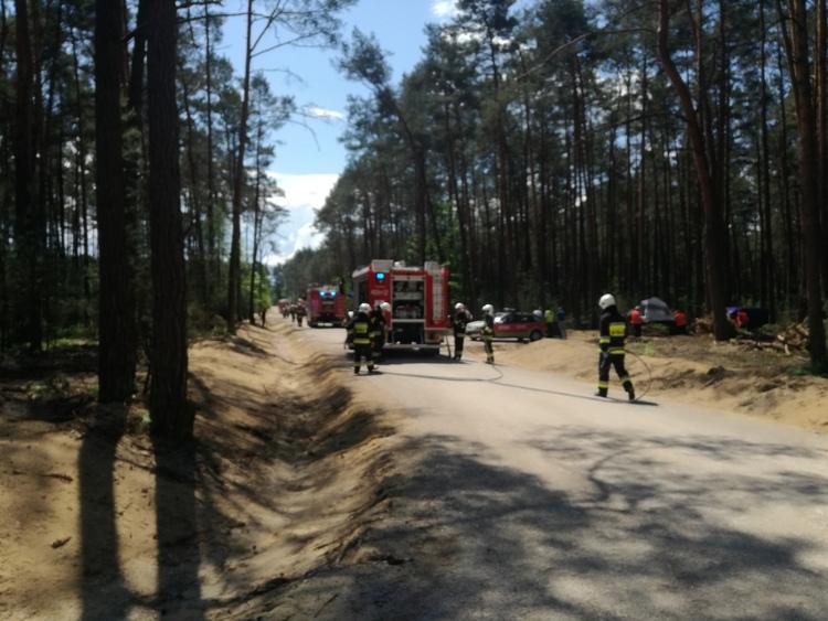 Pożar lasu w powiecie wieluńskim 1 45245 e2e1c4a6576177517374123efeea546e