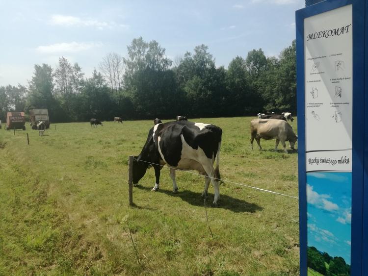 Schłodzone mleko z automatu w szczerym polu 1 45596 f0348760621d64ad76c1366c15d4f320