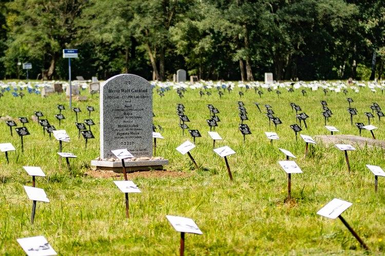 Izraelscy uczniowie odnowili macewę na cmentarzu żydowskim w Łodzi 1 46702 1c1ef83f6d41e23a41d406d9c940cdde