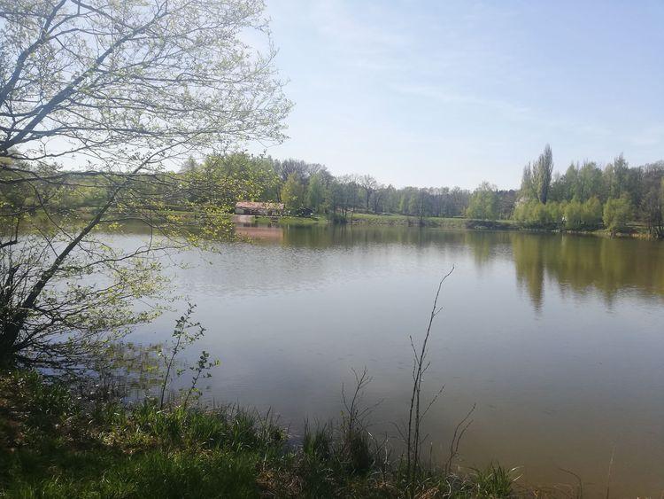 Ktoś rozciąga linki w lesie obok zgierskiej Malinki. Konsekwencje mogą być tragiczne 1 47460 4624f0e6898be57108ccad5e04e76191