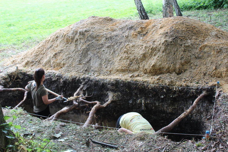 Łódzcy archeolodzy na Jurze | Szkiełko i oko 1 47868 637d70e633e7bc41c7f57745ce71cec1