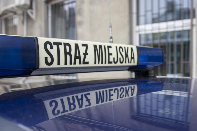 Pijany kierowca najpierw chciał pobić, a potem przekupić strażników miejskich 1 49129 760e450be6a6ab2e345c28d12f4b3a06