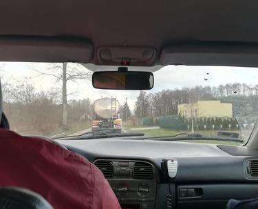 Dwie krowy zaginęły wskutek sylwestrowych hałasów 2 49699 715a52abaaf0722eafad769128b9d254