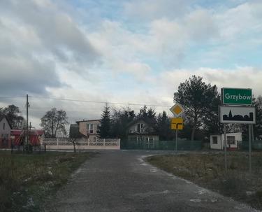 Dwie krowy zaginęły wskutek sylwestrowych hałasów 3 49699 cc39b4da8c0ef8cfc2745a3ccd8397aa