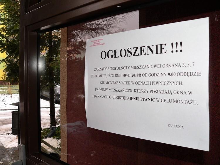 Kot naszym przyjacielem czy wrogiem? 2 49840 38509daef270d6217fb684e49593987e