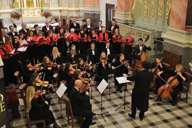 "Canto Alegre śpiewa z miłości do kotów" w łódzkim Klubie Tu 1 50734 0874e8dc726acc21d287df483dce13a7