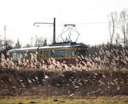 51106 b6f819990ffc590e7b7a9e5c5c4135da