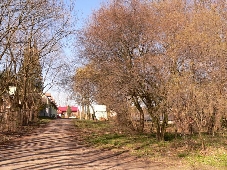 W Skierniewicach chcą budować modułowe mieszkania socjalne 1 51847 3cc55ad593af1fe19c15484e336397c8