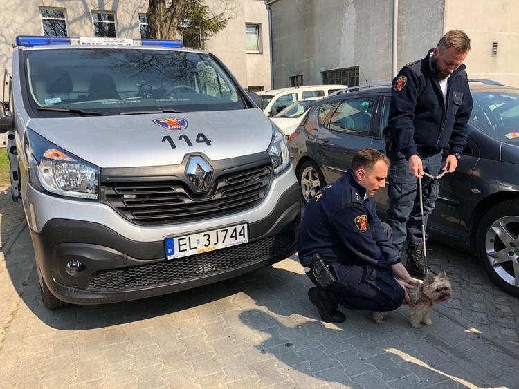 Nowy samochód Animal Patrolu 1 51943 710e3cb1d80f6a6eb2f80c20d62ae357