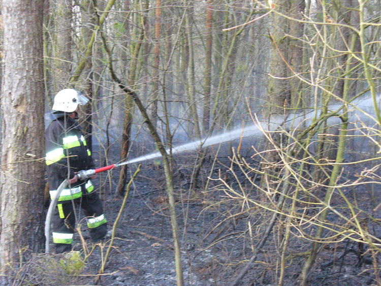 Coraz częściej płoną lasy 1 51983 2336259b317a36295a99200f90a9fb6f