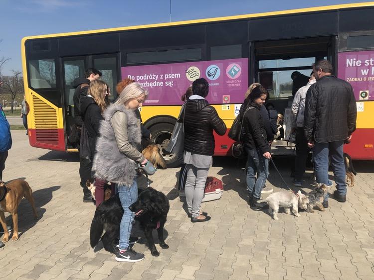 Bezpłatne chipowanie czworonogów. Animal Bus wyruszył w trasę 1 52177 6a128598368af7caeb13a200e6cf0bde
