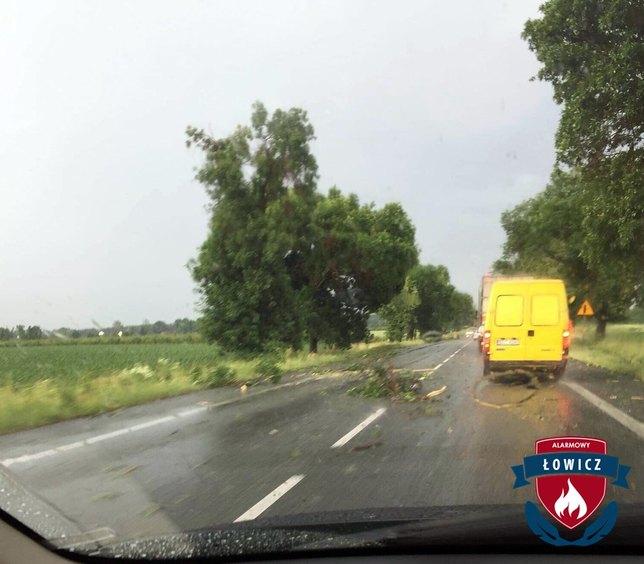 Strażacy z Łowicza usuwają skutki gwałtownej nawałnicy 1 53651 56f61b28c54a268416c06207e2ee617a