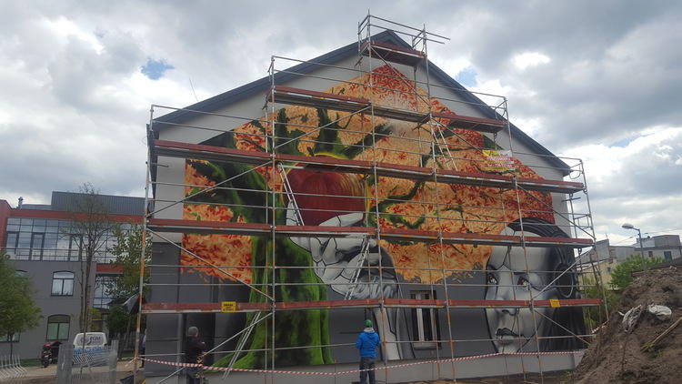 Murale ozdobią bełchatowskie kamienice 1 61202 b90b63e52a7baff99fa8904c06ea0872