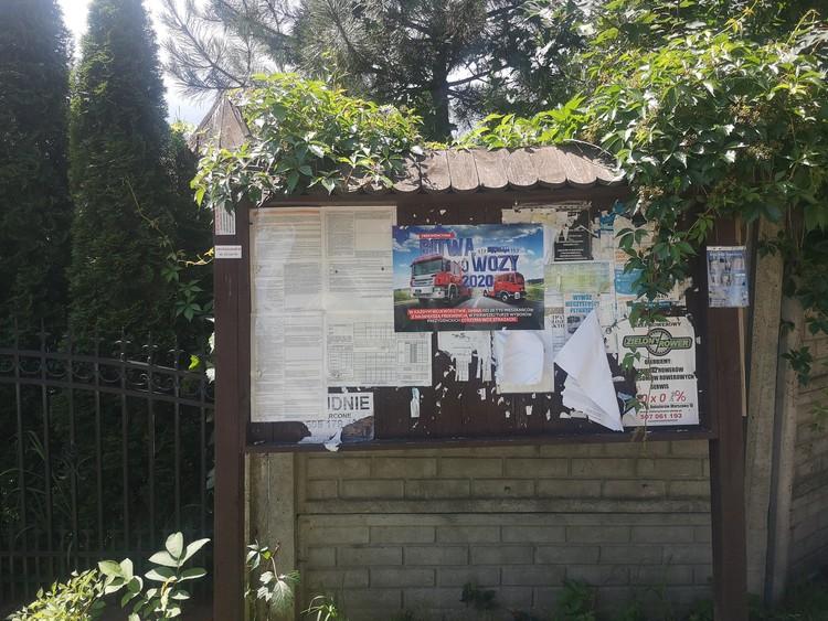 Nagrody za frekwencje wyborczą w Łodzi i w regionie 1 62317 f451dc563952bba50c77d2f3e3189e7e
