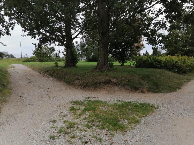 Radomsko walczy z plagą komarów 1 62827 b71c30e02cdd0c03fb4366c033b6f694