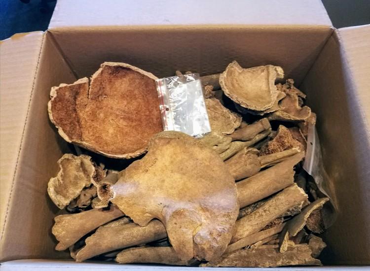 Niezwykłe znalezisko obok zgierskiego kościoła 1 63933 bca66fddd96c108e157dbcfe3e7ef0e4