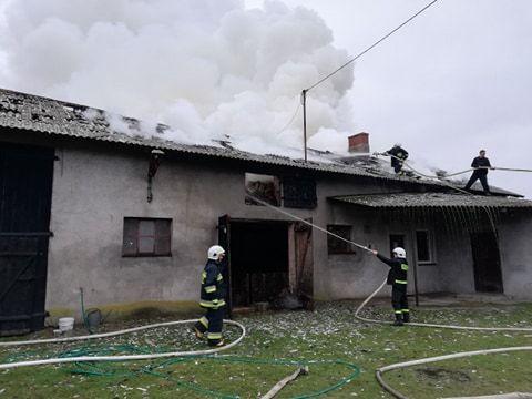 Pow. sieradzki: strażacy walczyli z ogniem i ratowali zwierzęta 1 66063 03ae34c82cdd91cca9373cecb59cb99d