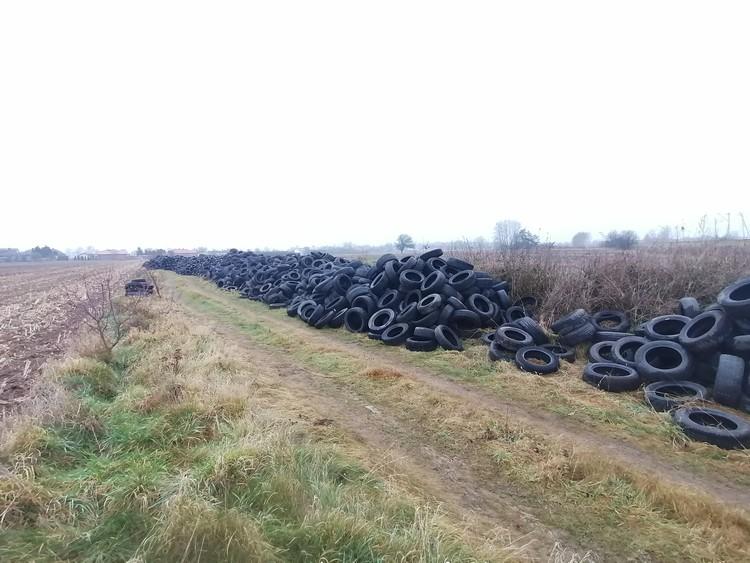 Sprawą 30 tys. opon pod Strykowem zajmie się Ministerstwo Środowiska i Klimatu? Chce tego zgierski radny 2 66308 974dbd1709a8c59d671548f59fed281a