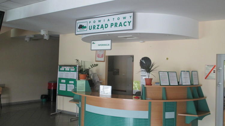 Nie przybywa bezrobotnych. Najnowsze dane z rynku pracy w Łódzkiem | Magazyn Ekonomiczny 1 66436 92a8f475d6037464106e9b612d1293ef