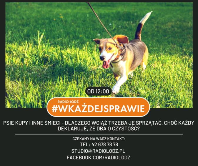 Psie kupy i inne śmieci - dlaczego wciąż trzeba je sprzątać? - o tym od godz. 12 w Radiu Łódź - program "W każdej sprawie" 1 68028 0df9b1862fb650f930445318feb5c0b8