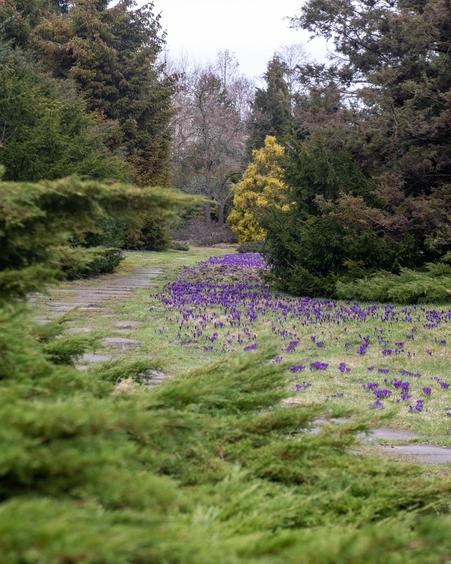 Ogród Botaniczny w Łodzi - od początku kwietnia otwarty 1 68840 8d42e27dfbe4d3cfbf17bcc19346b291