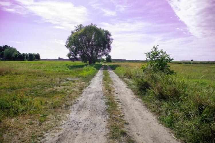 Lepsze drogi dla rolników z pieniędzy przyznanych przez Zarząd Województwa Łódzkiego 1 70315 dec42fde6dbecdcee280747d688834ea