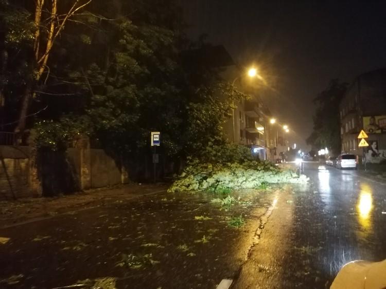 Łódź po burzy - które zniszczenia udało się usunąć? 1 71474 f9232560a64329426107cea6d2e3548a