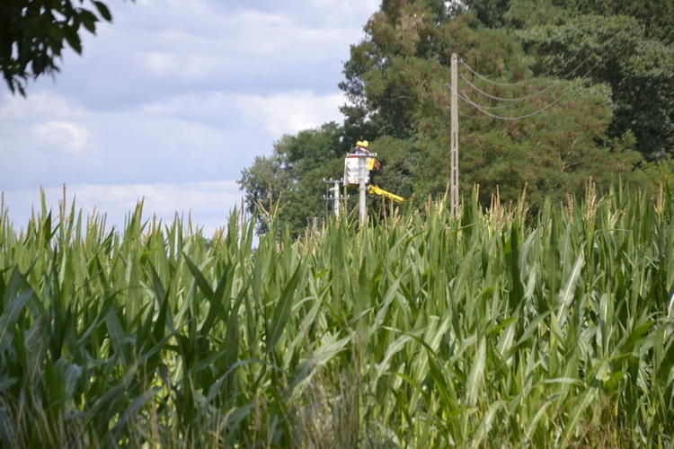 Zasilanie elektryczne zostanie przywrócone do wszystkich odbiorców PGE w województwie łódzkim 2 71576 ad3c397c5578f05e7ffd801df86019c9