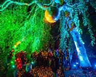 73164 095614783923a8354c404d69a06150db