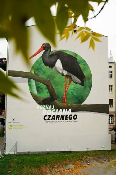 Łódź: przy ul. Orlej powstał wyjątkowy edukacyjny mural 1 73818 b264be83d878799d8ab2347f37b67d34