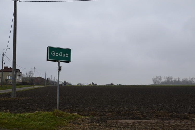 W okolicach Piątku pojawiły się wilki - czy z czasem będzie ich coraz więcej? 1 74585 27f99c1ffed41c2d793413572a0aa5cf