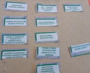74771 ce84d17dffc5f0eca72a7c6e57f7ffef