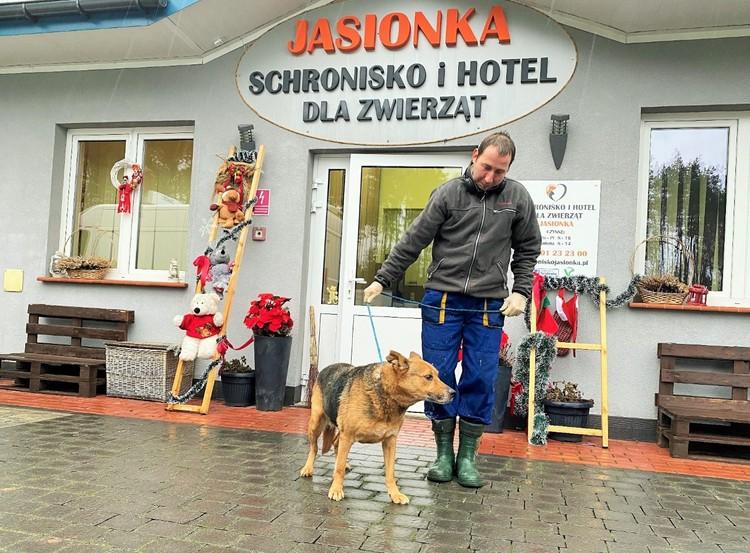 Władze Ozorkowa zdecydowały się na zabranie 13 psów ze schroniska w Wojtyszkach 3 75901 793a36d7611462d566e73d11b1ff6634