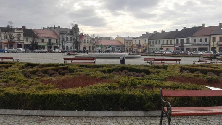 Łowicz: Nowy Rynek ma być bardziej zielony 2 76906 1788613555fcb546a850ac3f9715e25c