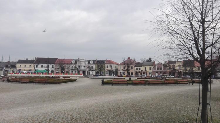 Łowicz: Nowy Rynek ma być bardziej zielony 3 76906 216b3262e93fa0cab0c1ff041a8c85e6