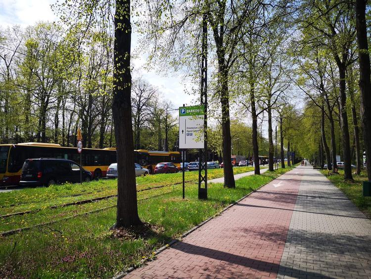 Samochodem do Orientarium? Prezes zoo zapewnia, że miejsc parkingowych nie brakuje 2 78767 2d51c1f45c17c0fcbce9b17836880030