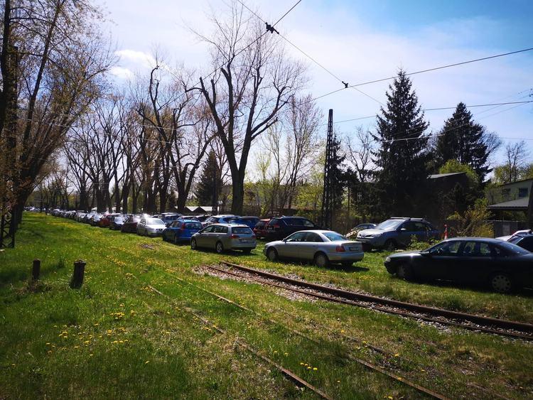 Samochodem do Orientarium? Prezes zoo zapewnia, że miejsc parkingowych nie brakuje 1 78767 a46e44460f06f04908aeeb50e90aa32f