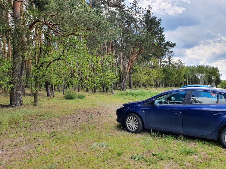 Tragedia w gminie Dobroń. Zginęła 73-letnia kobieta. Spadła na nią część wycinanego drzewa 1 79398 36f70dddf11ada7c9c69a50185d2c8b7